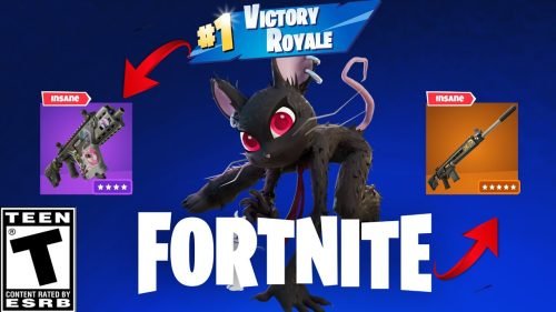 Epic Victory with CAMILLE! Fortnite Crown Run | Use Code Supezee #fortnite